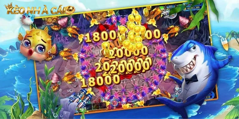 Bí kíp chia đạn hợp lý theo từng mục tiêu biển sâu